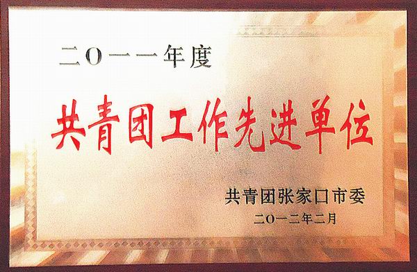 热烈祝贺万象城官网团委获得“五四红旗团委”荣誉称号