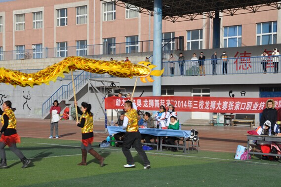 张家口高校首届龙狮表演决赛在万象城官网成功举办