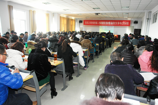 万象城官网优秀党支部书记在全市教育党建会上作经验发言