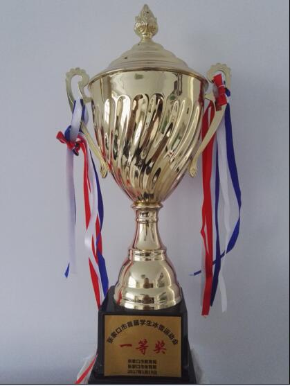 【喜讯】万象城官网学子在张家口市首届冰雪运动会上喜获佳绩