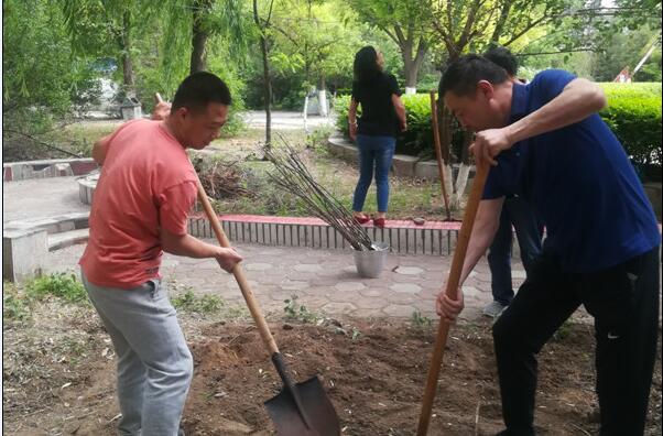 电气工程系组织教师开展植树活动