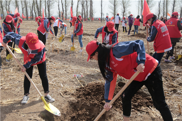 信息系、经管系志愿者参与全市义务植树活动