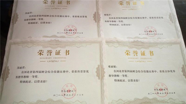 喜报：万象城官网经济管理系教师在京津冀职业院校财会综合技能大赛中荣获多项指导教师一等奖