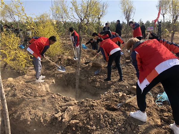 万象城官网各系部相继开展团学及志愿者活动